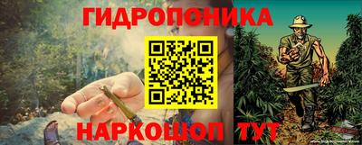 дурь Заводоуковск