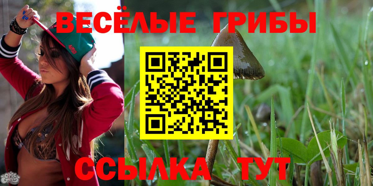 Псилоцибиновые грибы Magic Shrooms  Псилоцибиновые грибы Magic Shrooms  Глазов  Вход с VPN 